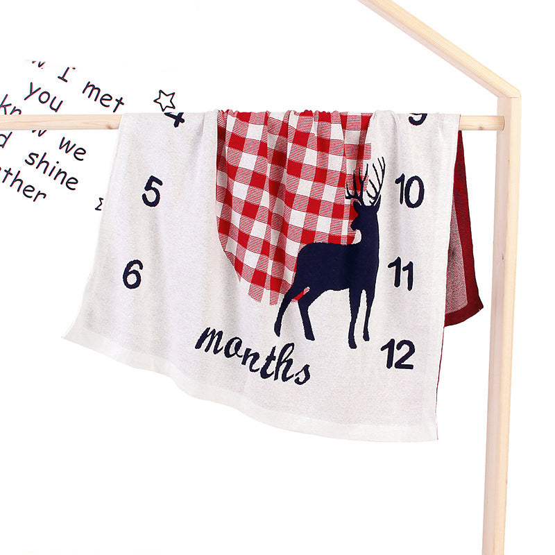 Baby Milestone Blanket | Monthly Photo Prop for Newborns