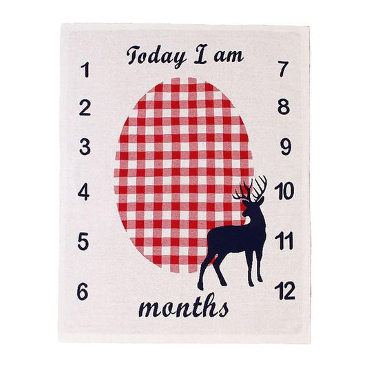 Baby Milestone Blanket | Monthly Photo Prop for Newborns