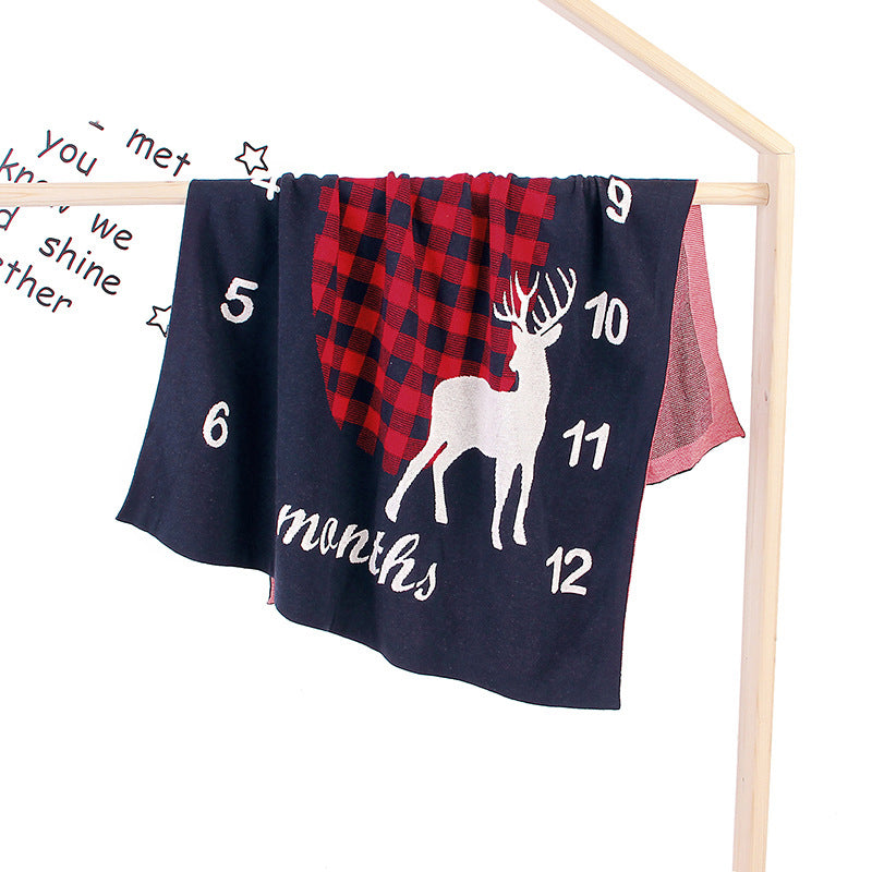 Baby Milestone Blanket | Monthly Photo Prop for Newborns